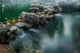https://timgsa.baidu.com/timg?image&quality=80&size=b9999_10000&sec=1487820308975&di=783c58bc0aedf5a46a122038ad254bb5&imgtype=0&src=http%3A%2F%2Fimgnews.gmw.cn%2Fattachement%2Fjpg%2Fsite2%2F20160818%2F6688782238392733129.jpg